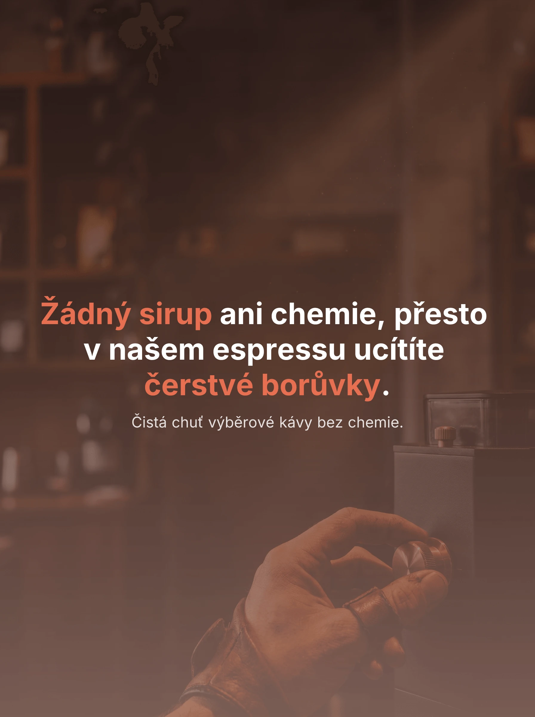 Příspěvek pro Kavárna Zrno