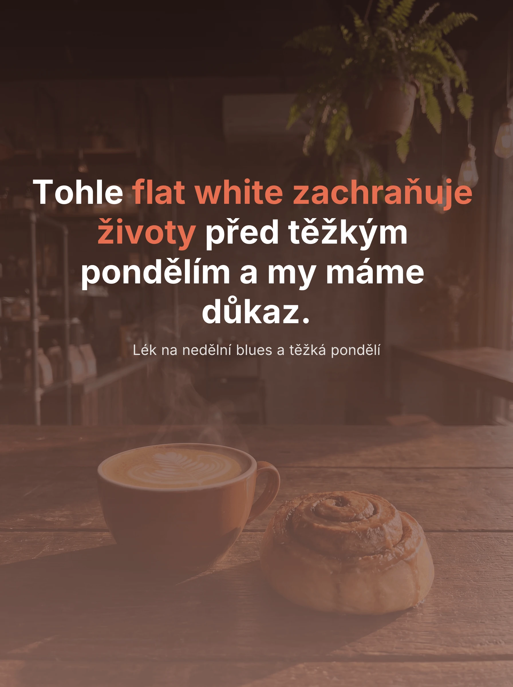 Příspěvek pro Kavárna Zrno