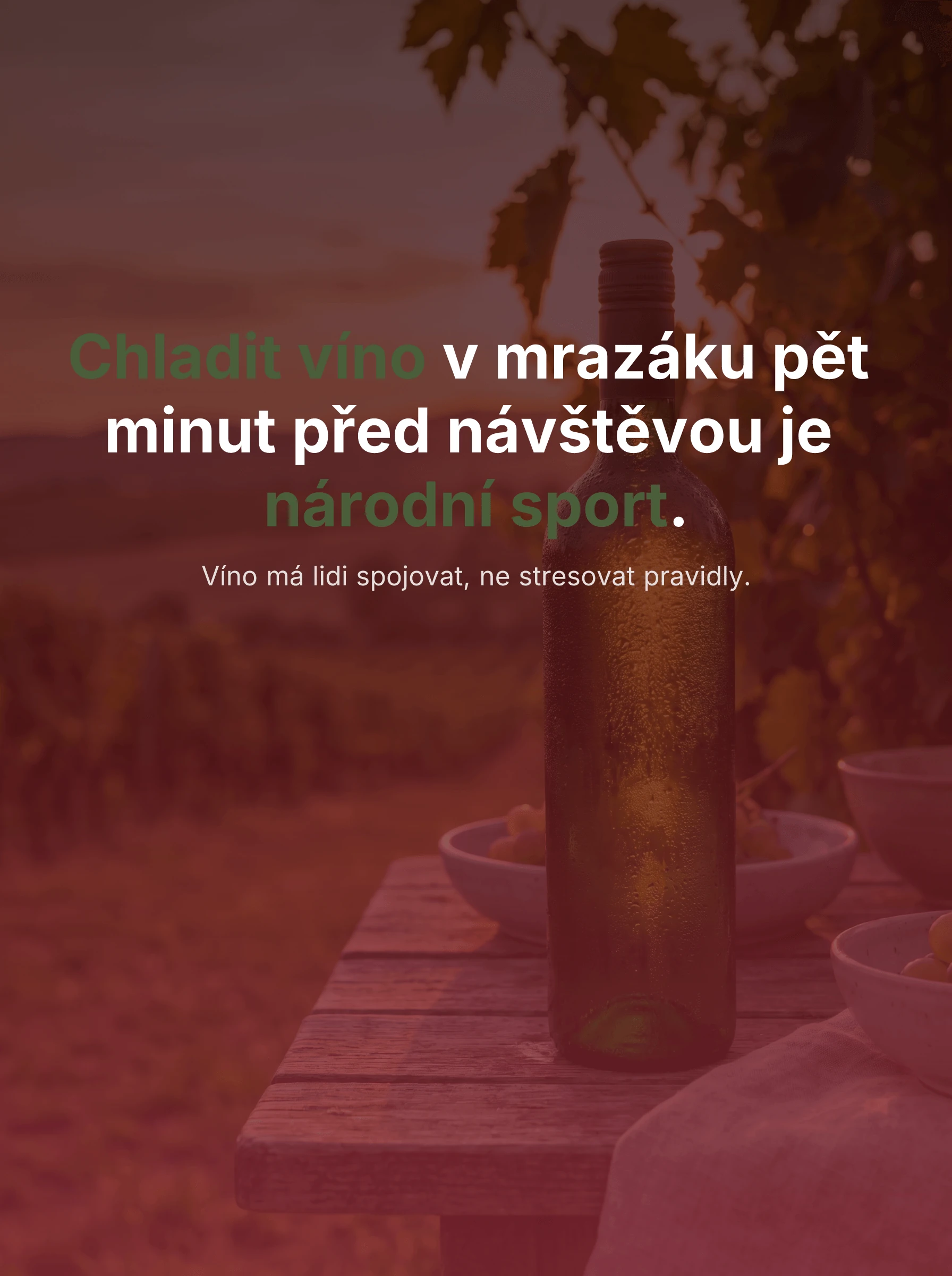 Příspěvek pro Vinařství Pod Strání